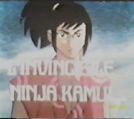 Ninja Fugitivo