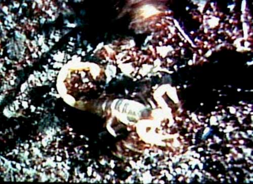 Muerte de un escorpi&oacute;n an&oacute;nimo en THE WILD BUNCH