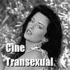 Cine transexual
